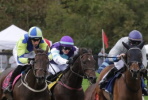 horse race