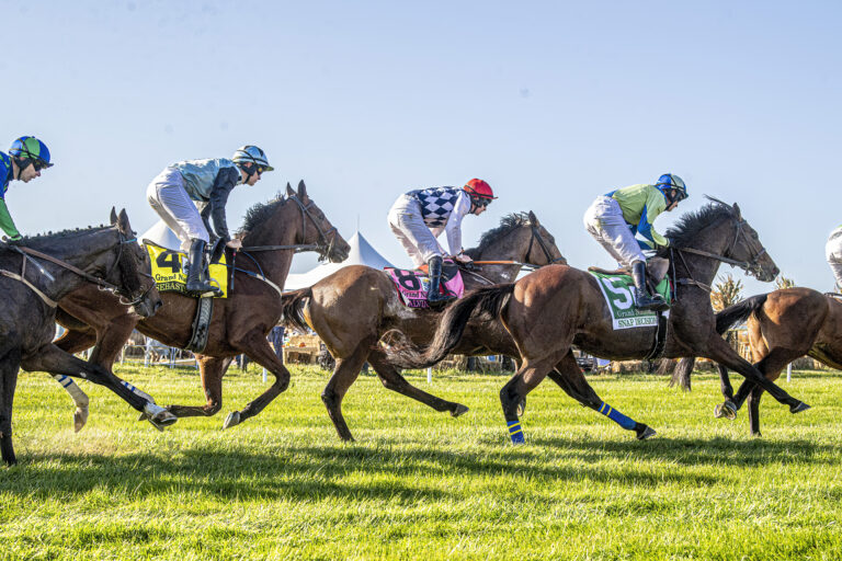 Horses racing at the far hills race meeting