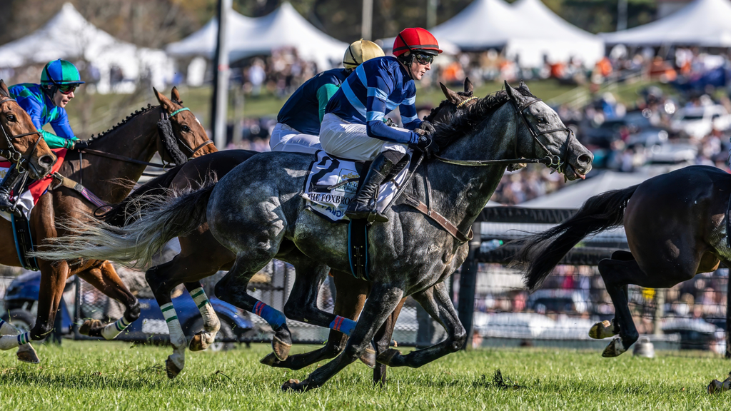 Steeplechase jockeys race across the turf at the Far Hills Race Meeting, with spectators and white event tents visible in the background at Moorland Farm.