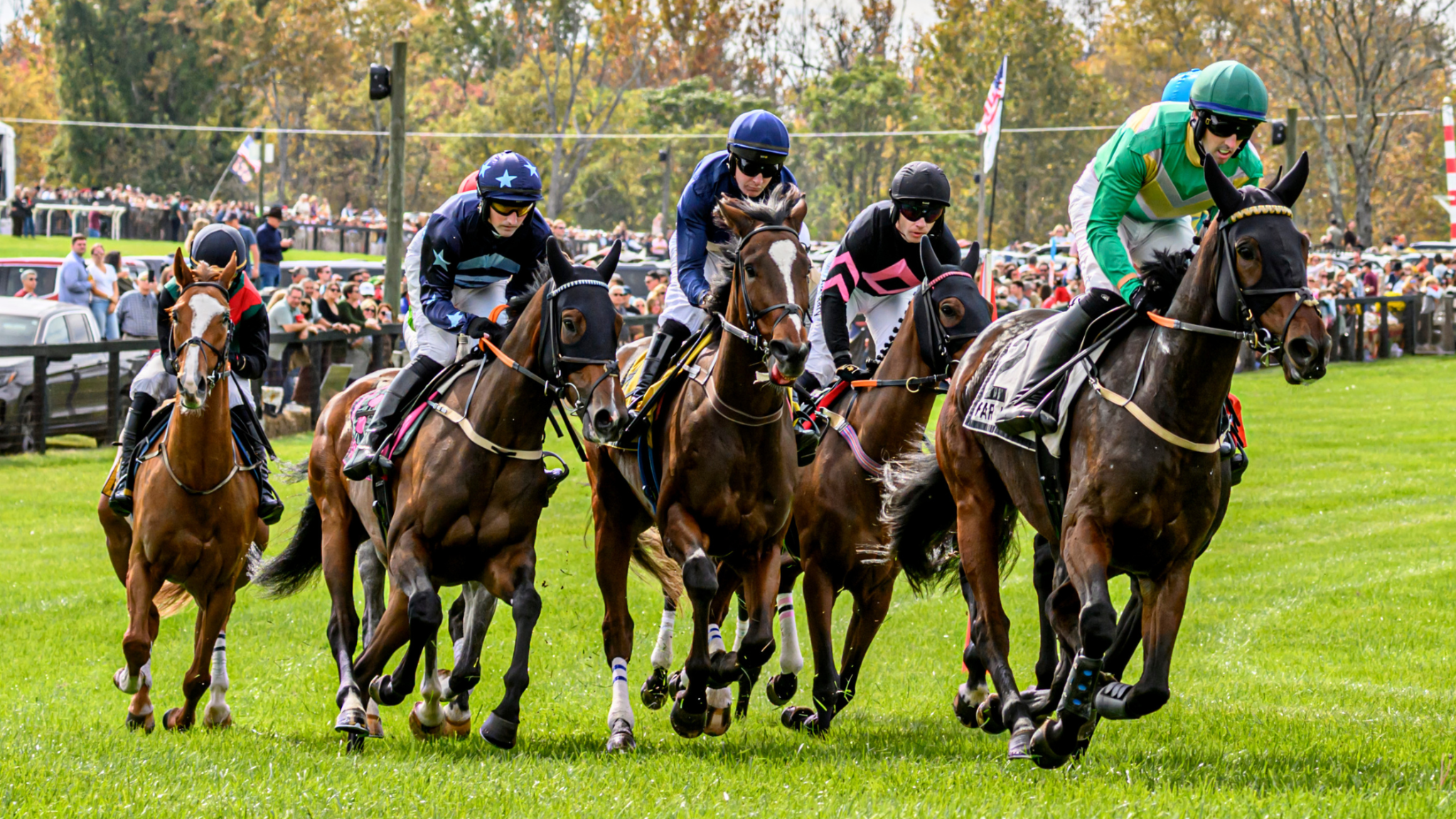 A group of steeplechase jockeys race closely together across the turf at the Far Hills Race Meeting, with a large crowd and autumn trees in the background.