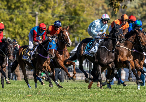 A group of seven jockeys on horseback race across a grassy course during a steeplechase event. The horses run closely together as jockeys in brightly colored silks—including red, blue, orange, and light blue—lean forward in competition. Spectators and fencing line the course in the background, with green trees and autumn foliage framing the scene. The image captures the speed, intensity, and excitement of horse racing at the Far Hills Race Meeting.